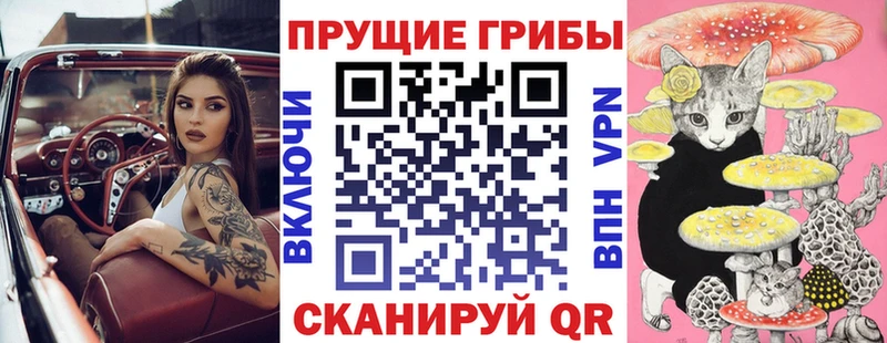 наркотики Ленинск-Кузнецкий Псилоцибиновые грибы MAGIC MUSHROOMS