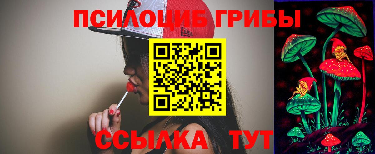 Галлюциногенные грибы Psilocybe Ленинск-Кузнецкий